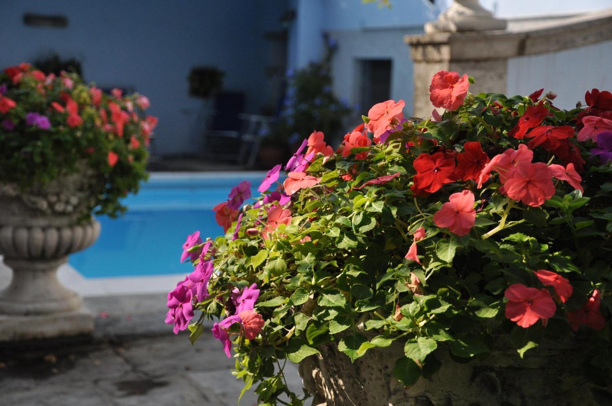 Villa Annamaria B&B Domaso Εξωτερικό φωτογραφία