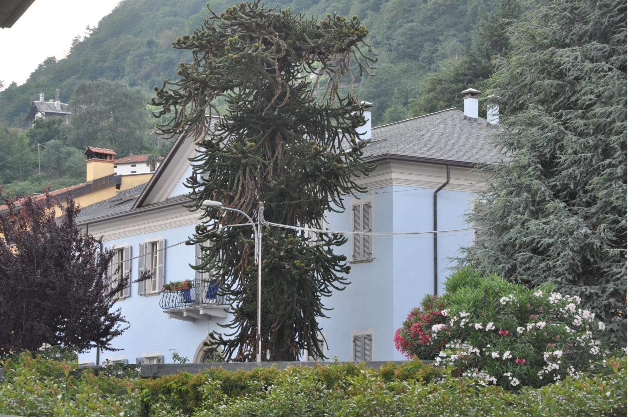 Villa Annamaria B&B Domaso Εξωτερικό φωτογραφία